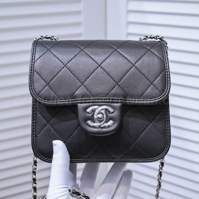 Chanel Handbags 119